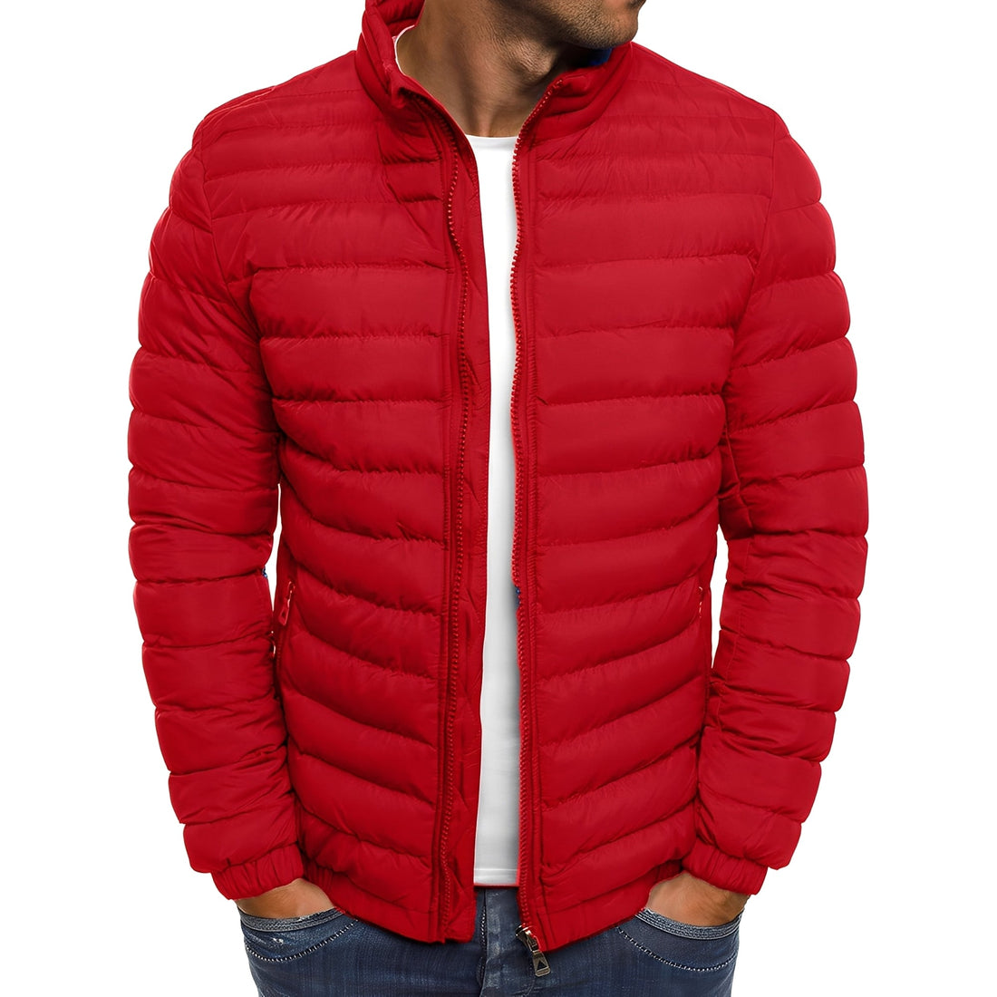 Bernard - Casual, Warm Down Jacket for Men